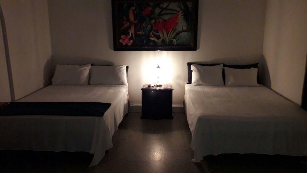 Palma Bahia *