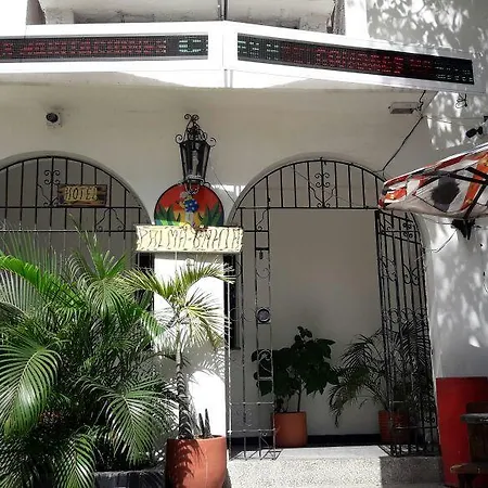 Palma Bahia Hotel