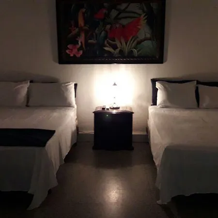 Palma Bahia *